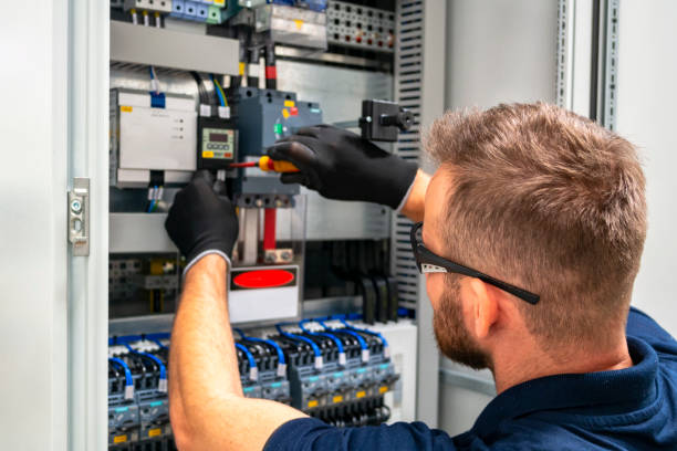 Best Electrical System Inspection  in Merrill, IA